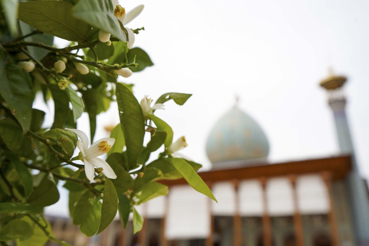 روایت بهار در حرم شاهچراغ(ع)؛ میزبانی از یک میلیون زائر ایرانی و ۳۲ کشور جهان