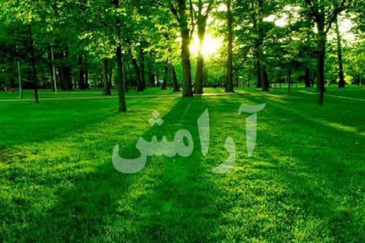 زیستن در اکنون، هنر فراموششدهی روزگار ما