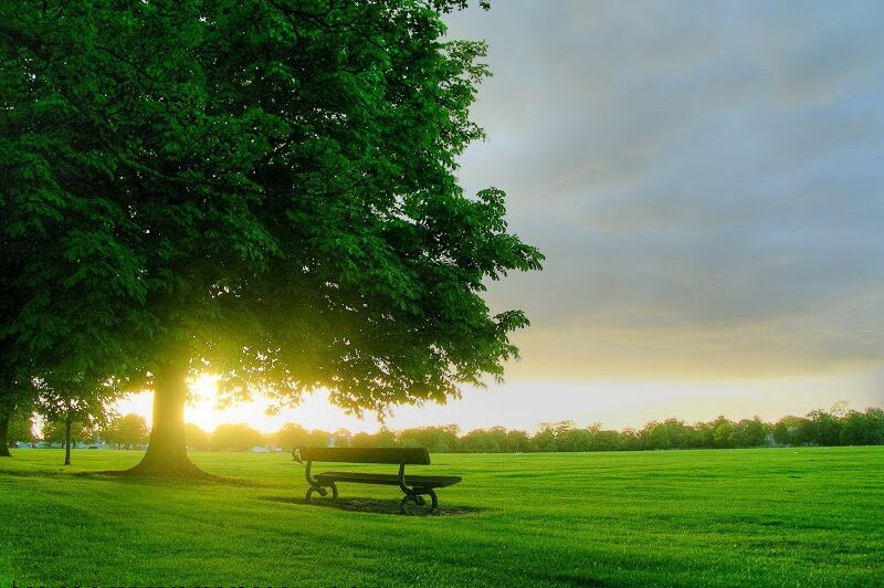 زیستن در اکنون، هنر فراموششدهی روزگار ما