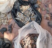 جلوگیری از خروج ۴۰ کیلوگرم خاک و سنگ جزیره هرمز