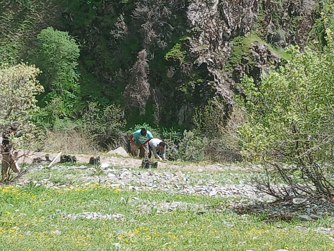 غرس ۶۰۰ اصله نهال در تازهآباد سروآباد با مشارکت اهالی و دانشآموزان