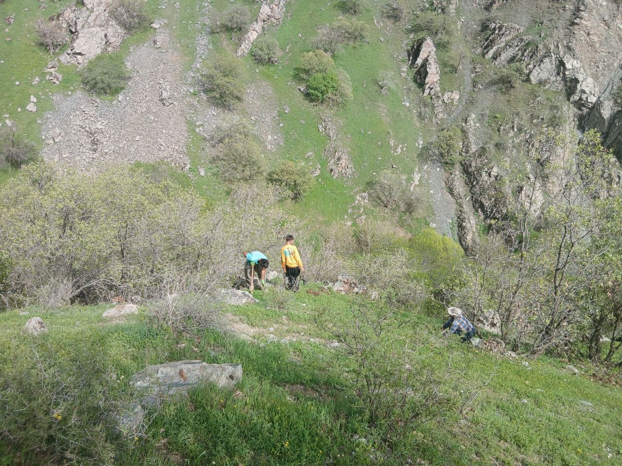 غرس ۶۰۰ اصله نهال در تازهآباد سروآباد با مشارکت اهالی و دانشآموزان