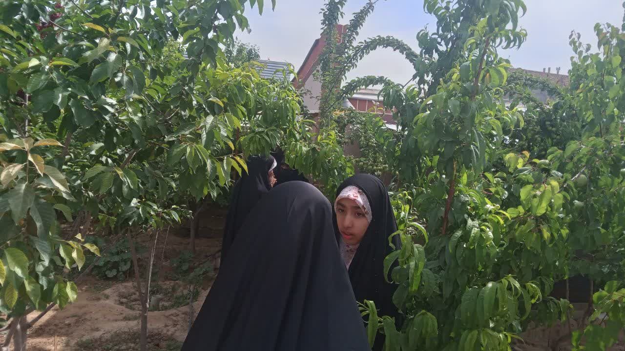 «باغ معارفی»، اردوگاهی جذاب برای تداوم آموزش نونهالان قرآنی