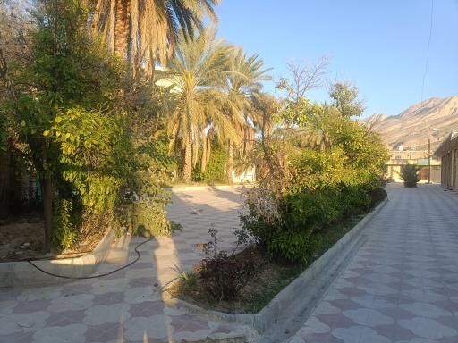 وقتی مسجد باغ شد؛ روایت ۳۰۰ سال عبادت در پناه درختان نارنج