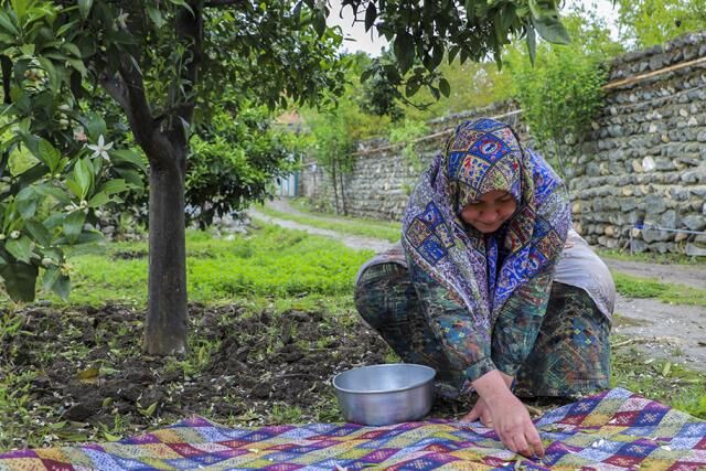 بوی بهشت با عطر بهارنارنج در گلستان