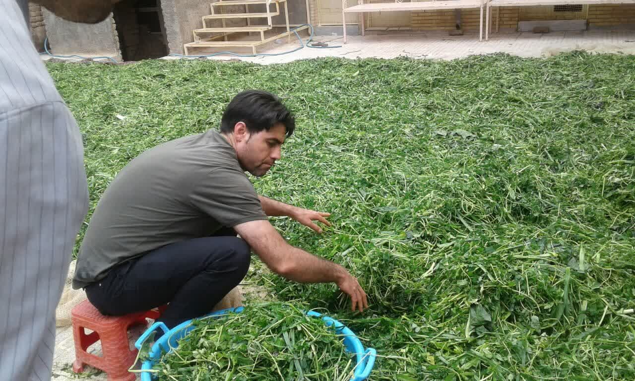 شعله‌های عشق حسینی در «دهنو»/ اینجا محرم زودتر آغاز می‌شود