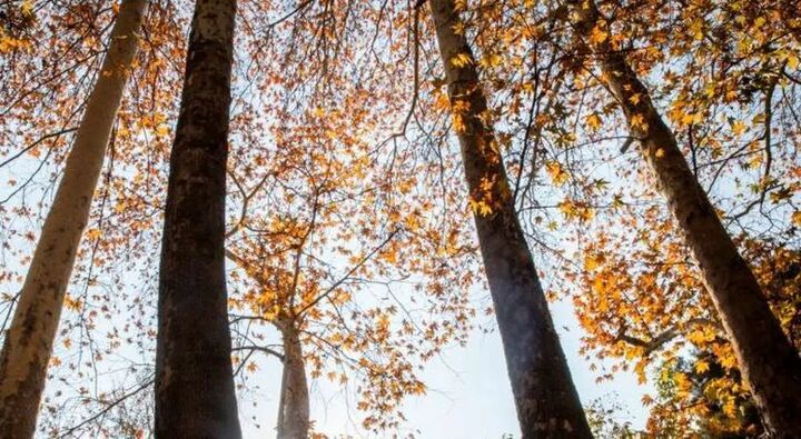 بازگشت هوای گرم به کشور/دمای هوای تهران اعلام شد