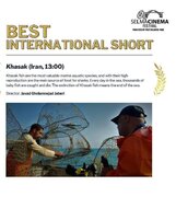 فیلم ساز بوشهری موفق به کسب جایزه بهترین فیلم کوتاه بین‌المللی از جشنواره سینمای سلما ۲۰۲۵ آمریکا شد