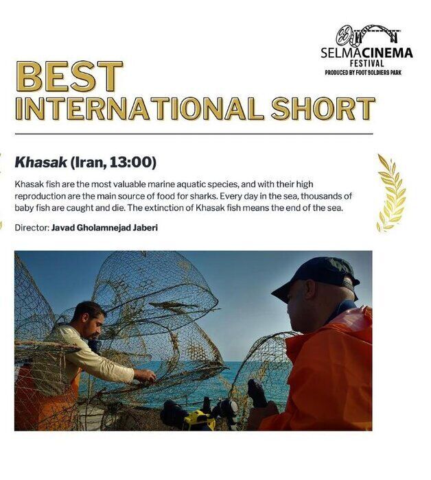 فیلم ساز بوشهری موفق به کسب جایزه بهترین فیلم کوتاه بین‌المللی از جشنواره سینمای سلما ۲۰۲۵ آمریکا شد