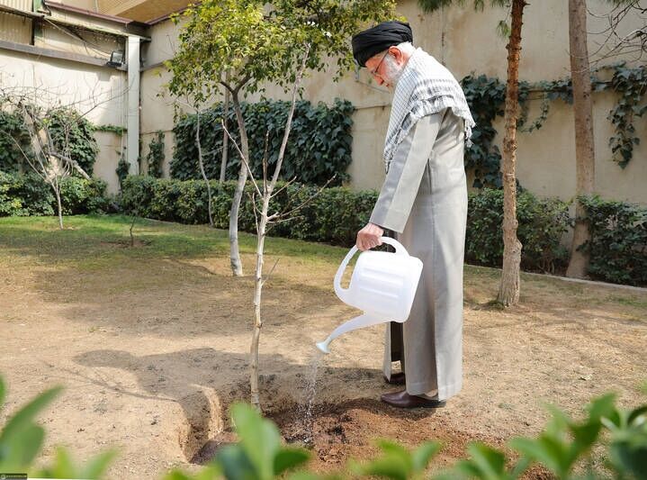 هر مسجد، یک نهالستان؛ پیوند معنویت با حفاظت از منابع طبیعی