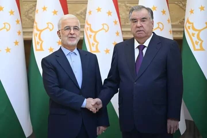 دیدار وزیر کشور با رئیس جمهور تاجیکستان