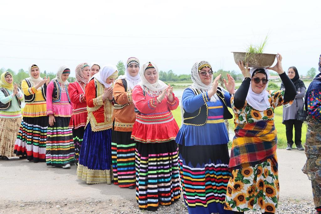 آئین کاشت مکانیزه برنج در گیلان برگزار شد