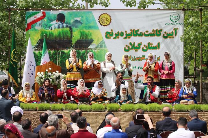 آئین کاشت مکانیزه برنج در گیلان برگزار شد