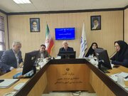 طرح‌های اشتغالزای سازمان‌های مردم نهاد خراسان جنوبی حمایت می‌شوند