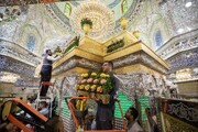 گل آرایی آستان مقدس امام حسین(ع) به مناسبت میلاد حضرت فاطمه معصومه(ع)