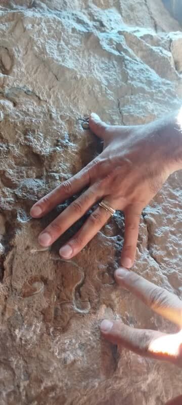 کشف سنگ نوشته نویافته پهلوی ساسانی در آباده فارس