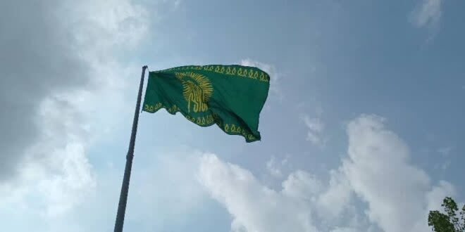 اهتزاز پرچم متبرک رضوی در ورودی شهر دماوند