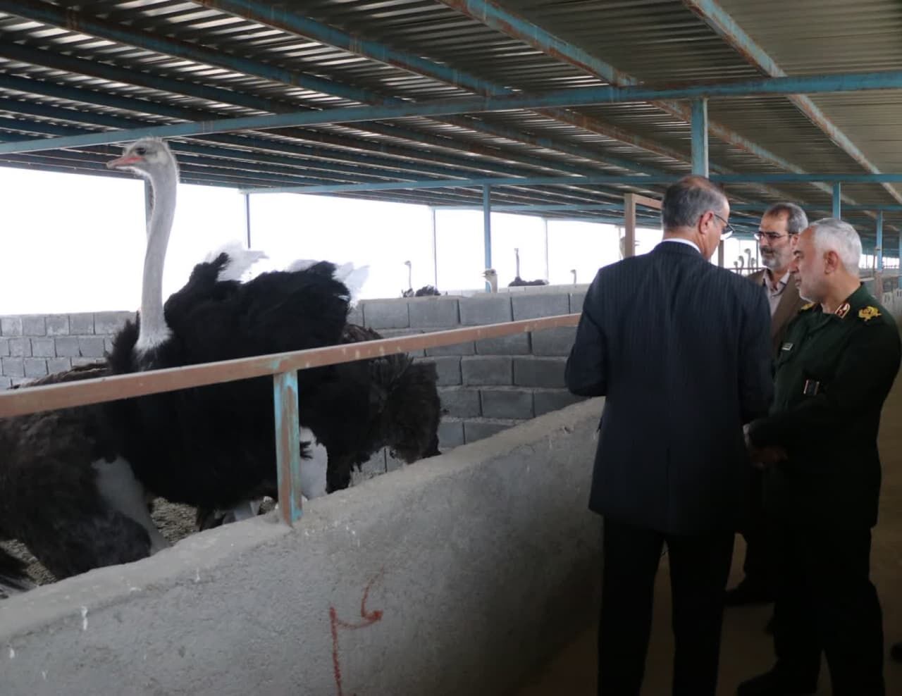 رویش امید پشت میلهها؛ زنان زندانی در مسیر توانمندسازی