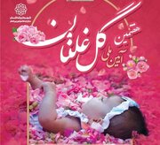 عطر گل محمدی در انتظار نوزادان؛ ثبت‌نام آیین ملی گل‌غلتان کاشان آغاز شد