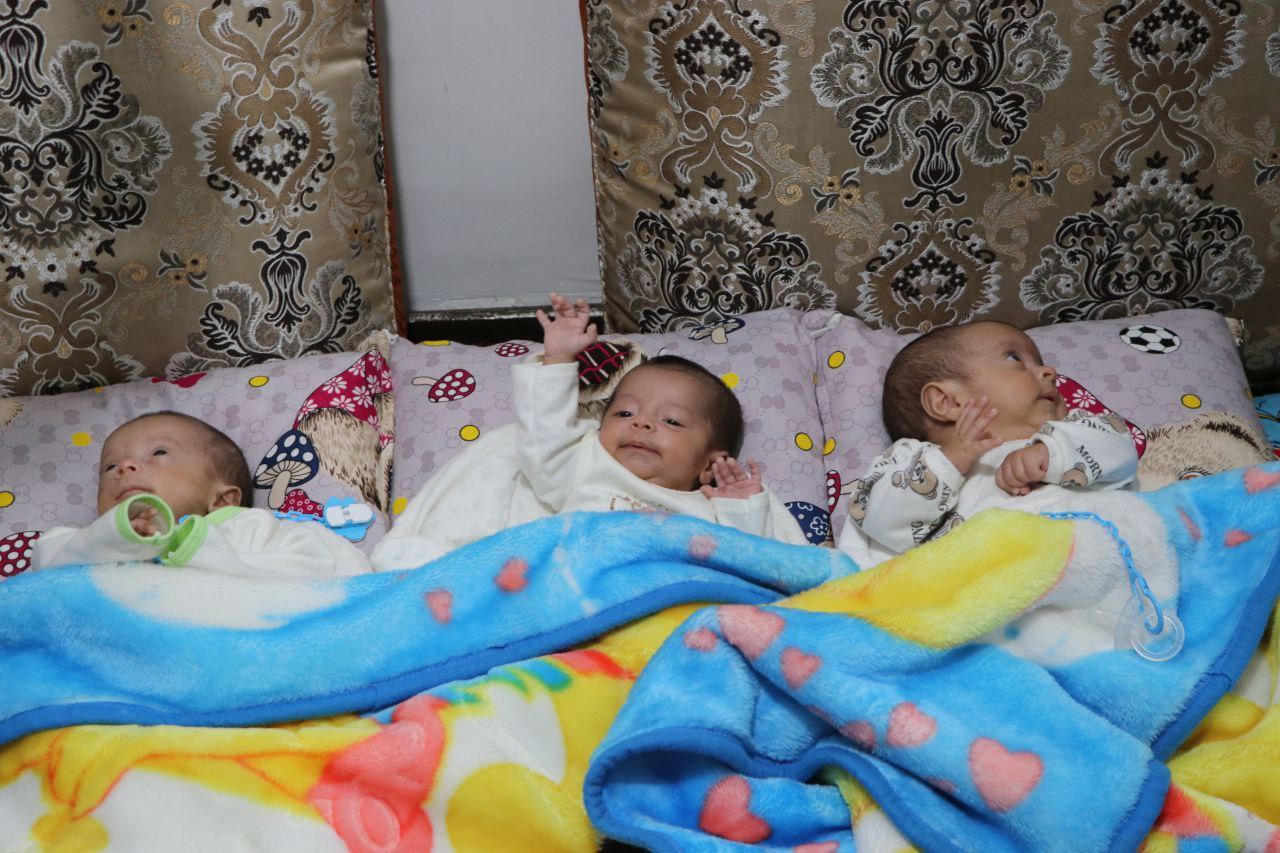 سه قلوهایی که بیمه امام رضا شدند