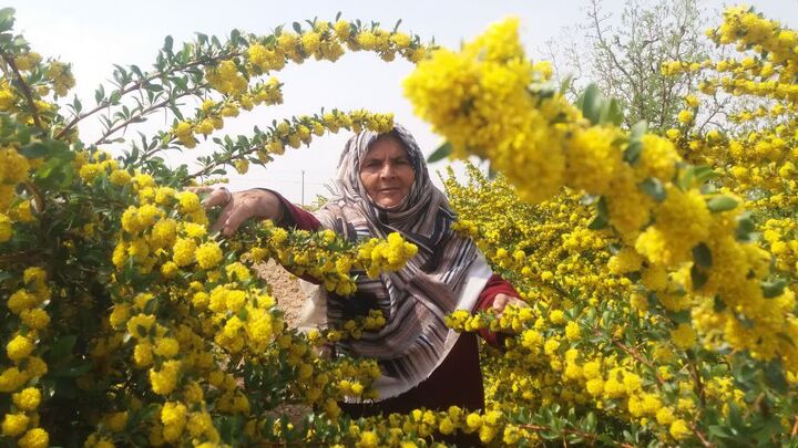 از دل خاک تا درگاه خدا؛ قصه زنی که زکات را سبک زندگی کرد