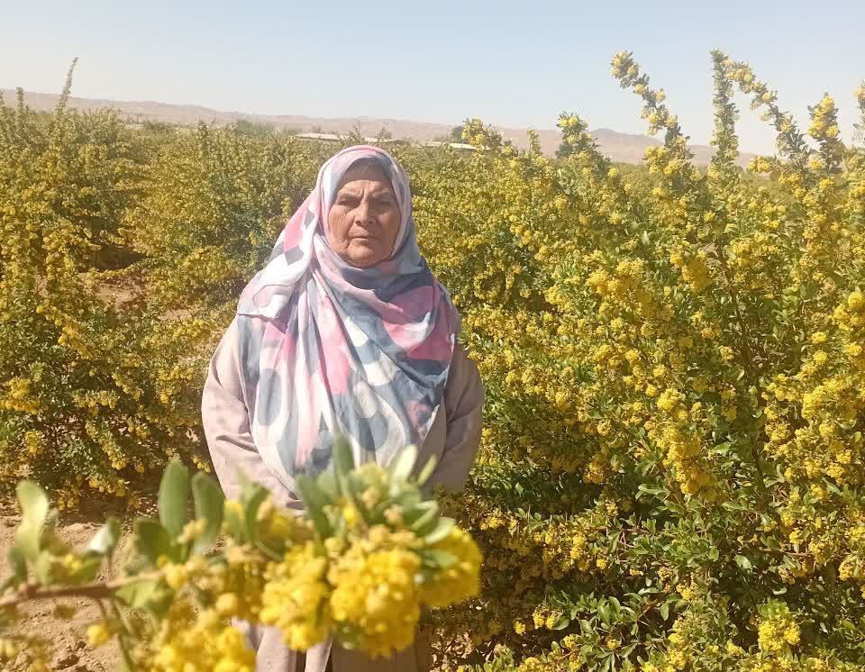 از دل خاک تا درگاه خدا؛ قصه زنی که زکات را زندگی کرد