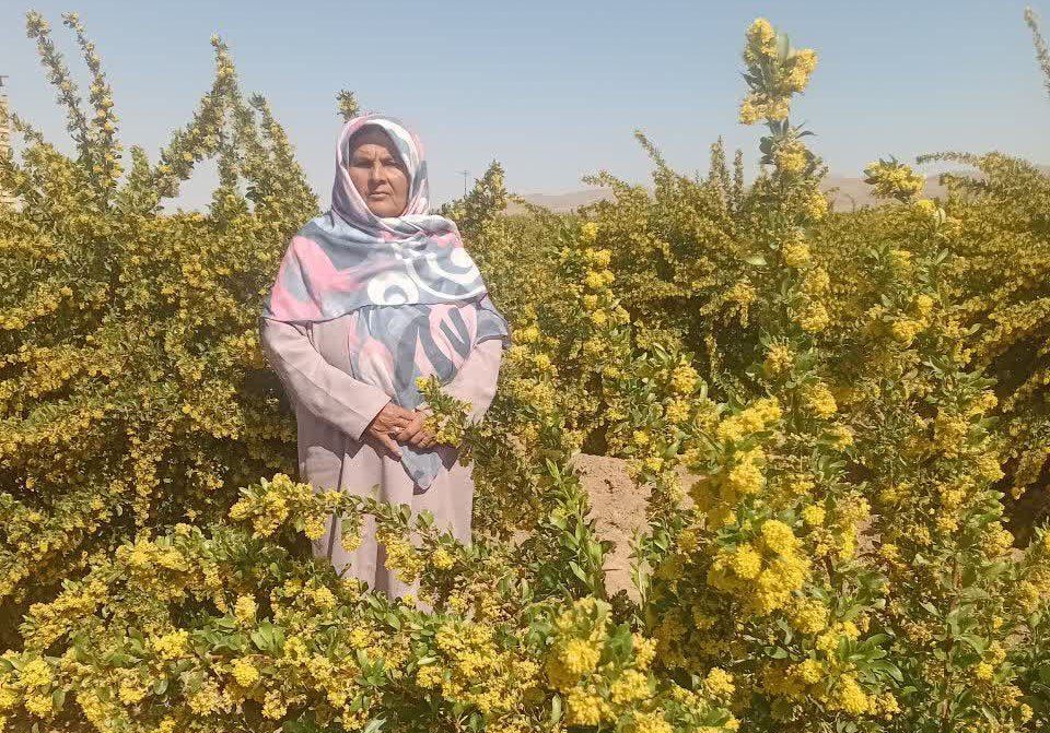 از دل خاک تا درگاه خدا؛ قصه زنی که زکات را زندگی کرد