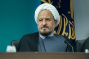 توفیقات ستاد بزرگداشت دهه کرامت در مردمی بودن برنامه‌ها و خدمت کریمانه/ مجمع پیشکسوتان دهه راه‌اندازی می‌شود