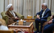 دیدار  آیت‌الله جوادی آملی با دبیرکل آستان مطهر امام علی(ع) در نجف اشرف