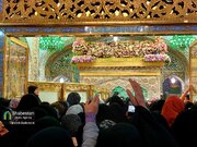 شب کرمانی‌ها در جوار امام رئوف