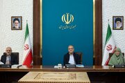 فقدان برنامه جامع؛ مهمترین مشکل محیط زیست کشور