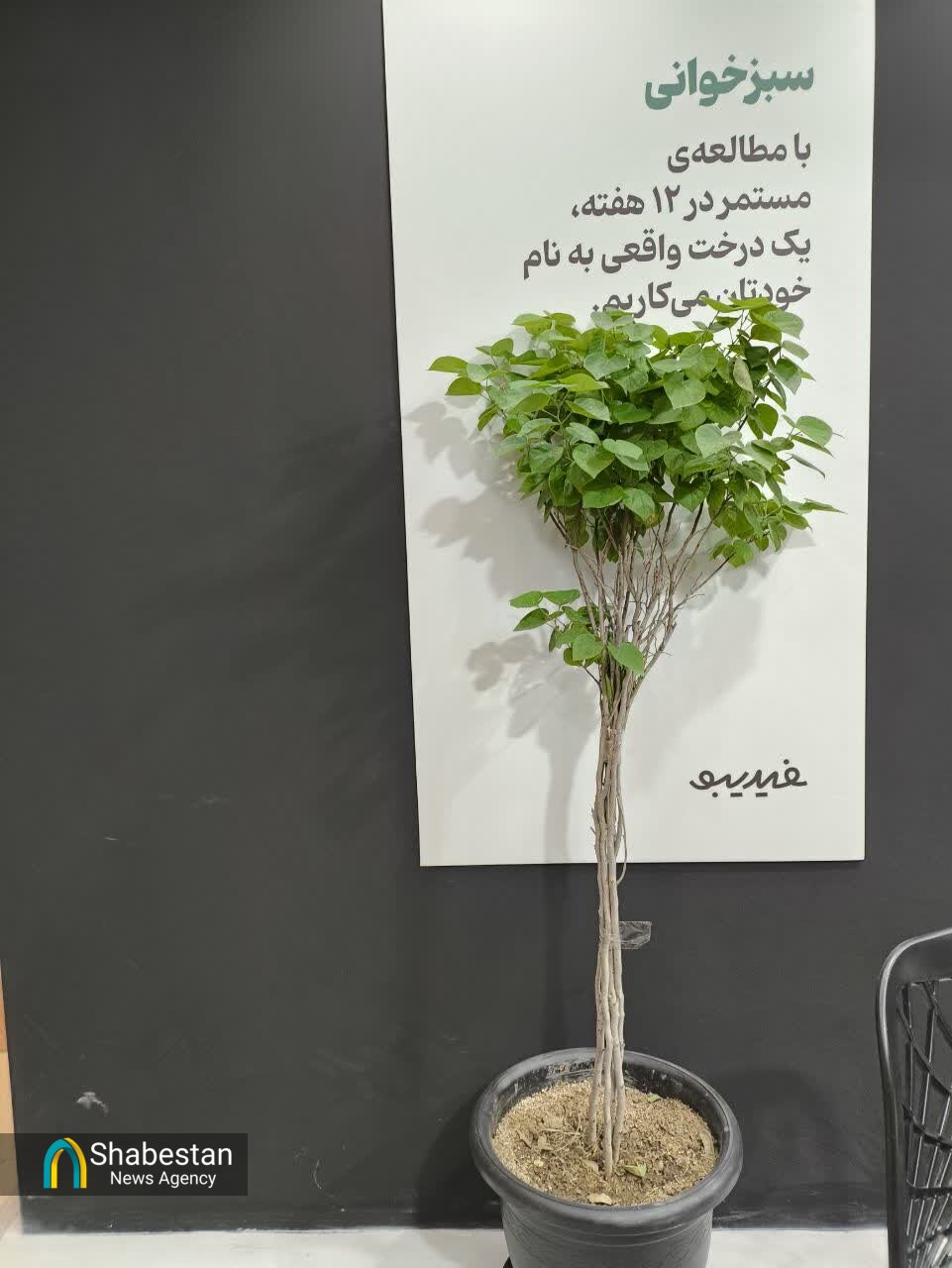 پای نوآوریهای «فیدیبو» به نمایشگاه کتاب باز شد