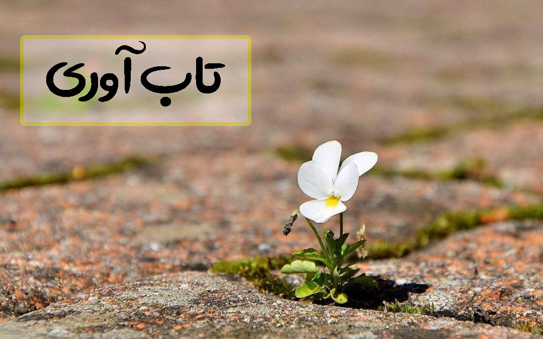 وقتی زندگی ضربه میزند، تو چگونه برمیخیزی؟