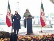 با فرایندهای دیپلماتیک مشکل شهروندان ایرانی را حل می کنیم/همه دستگاه‌های اجرایی مکلف به نصب صفحات خورشیدی