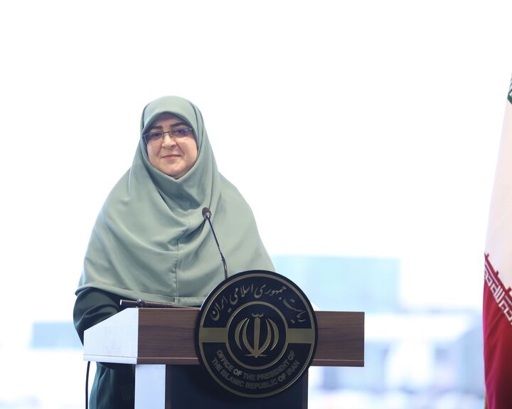 با فرایندهای دیپلماتیک مشکل شهروندان ایرانی را حل می کنیم/همه دستگاه‌های اجرایی مکلف به نصب صفحات خورشیدی