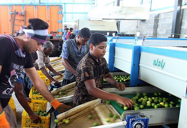 بهره‌برداری از ۲۴ واحد صنایع تبدیلی و غذایی در هرمزگان