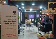 جمع آوری بیش از ۶۰۰ عنوان کتاب برای سیستان و بلوچستان