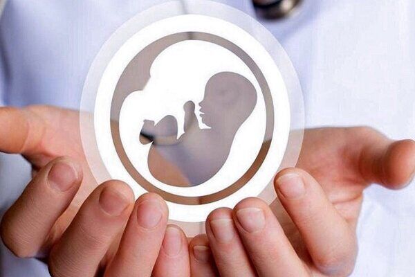 هشدار ایلان ماسک درباره کاهش نرخ فرزندآوری