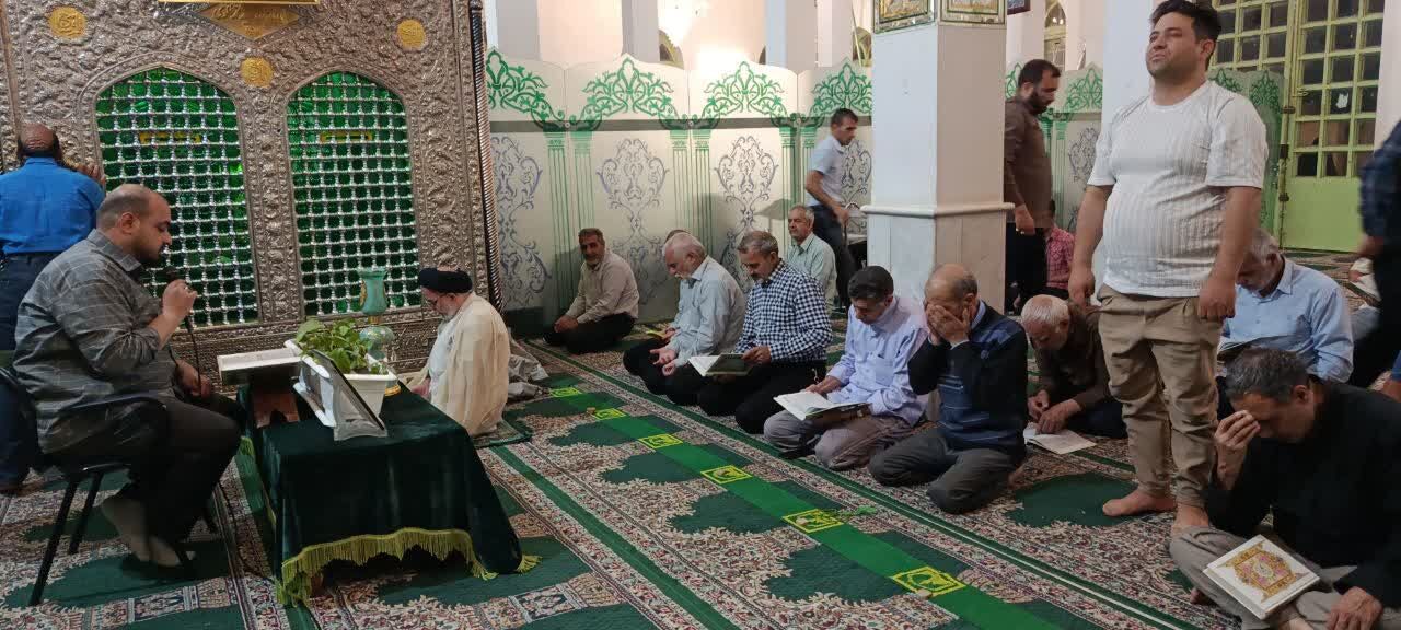 ویژه برنامه «خادم الرضا» در جوار امامزاده علوی(ع)