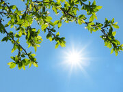 جوی آرام همراه با آسمانی صاف در اغلب مناطق کشور