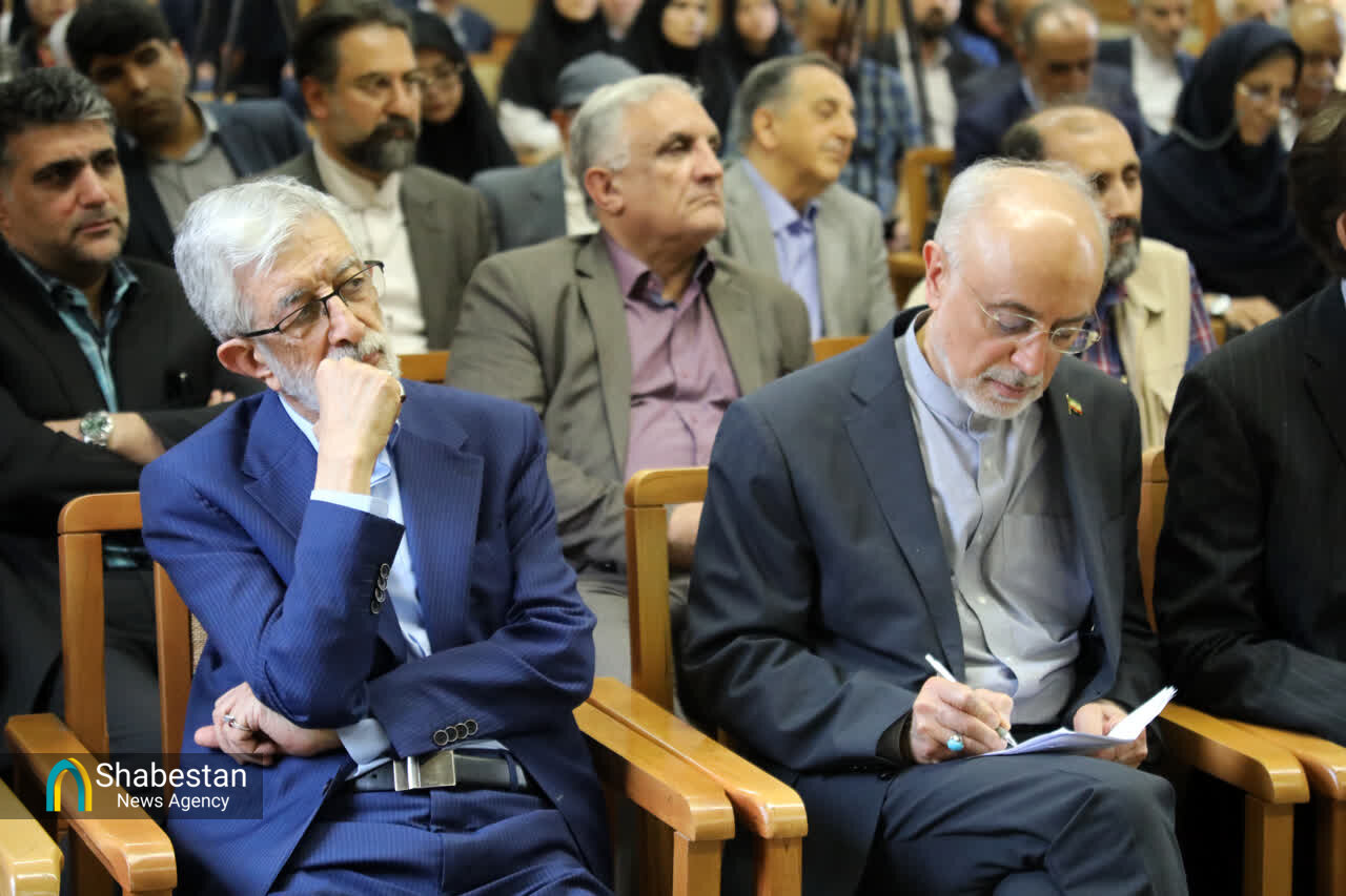 عمق حِکمی، شاهنامه را بیبدیل کرده است