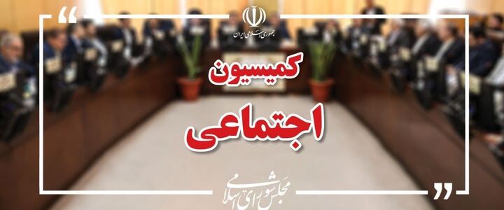 تصویب ۲ فصل اول لایحه حمایت از زنان در کمیسیون اجتماعی مجلس