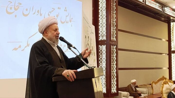 یاوران حجاج قدم در راه امام المتقین گذاشته‌اند