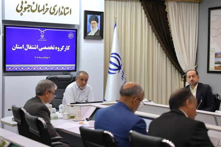 توسعه مشاغل روستایی و خانگی در اولویت است