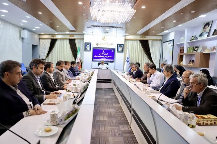 ضرورت تشکیل شرکت تعاونی تخصصی گوهرسنگ‌ها در خراسان جنوبی