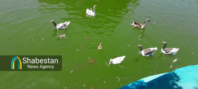 سفری برای درک عظمت خداوند از طریق آشنایی با مخلوقات