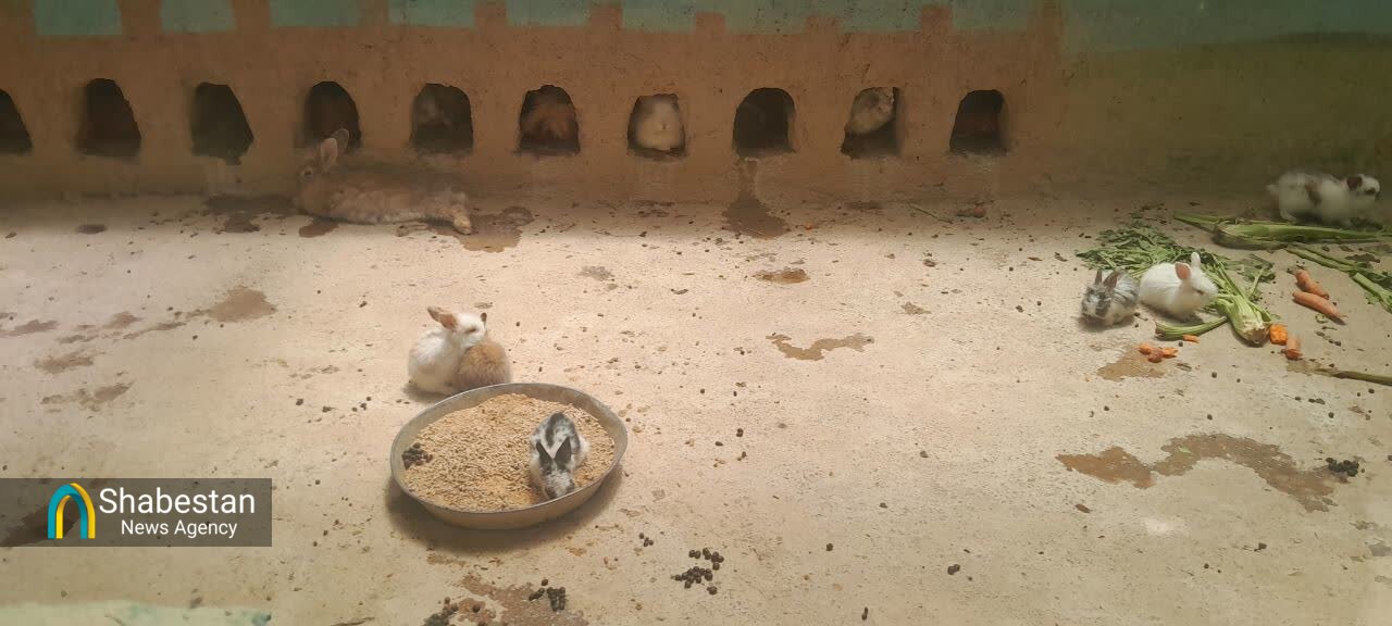 سفری برای درک عظمت خداوند از طریق آشنایی با مخلوقات