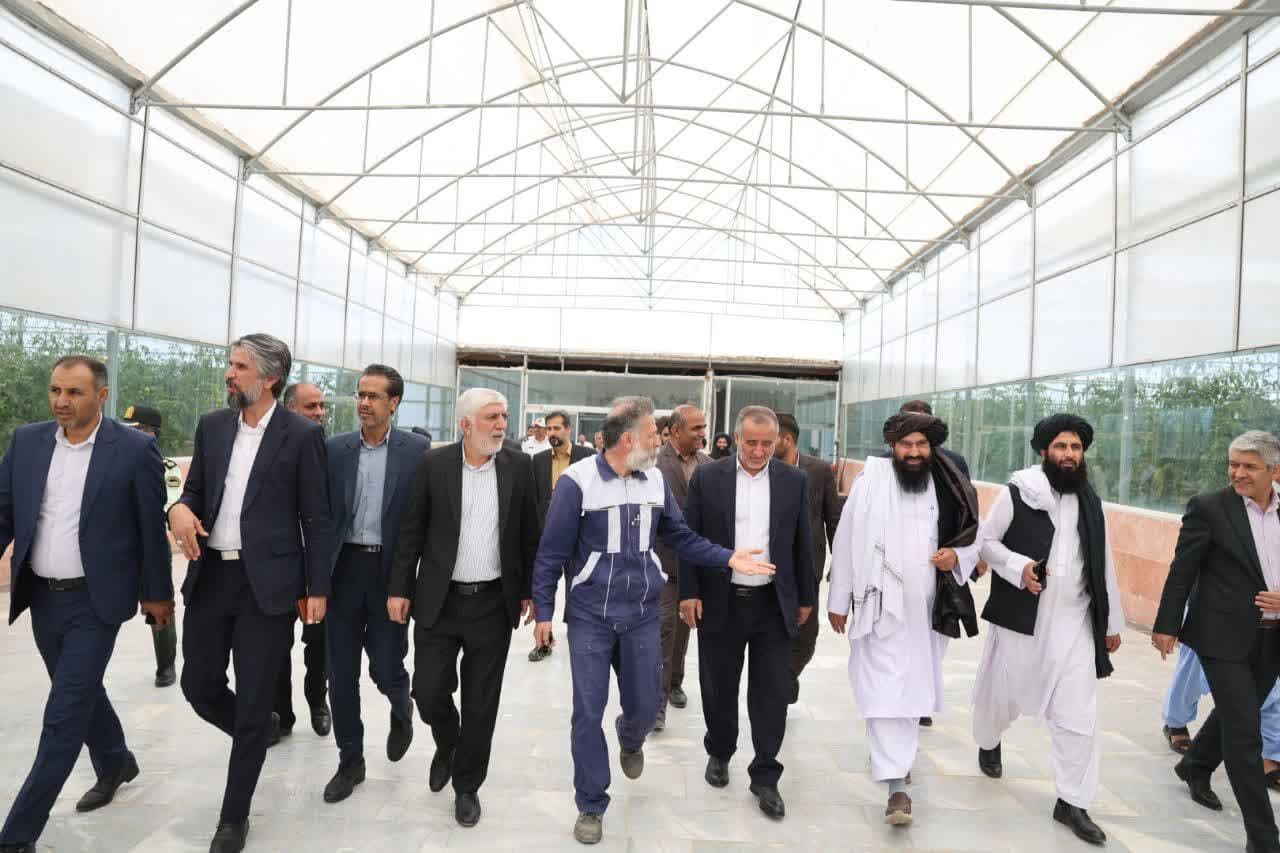 بازدید والی فراه از مجتمع کشاورزی و دامپروری بیدمشک در سربیشه