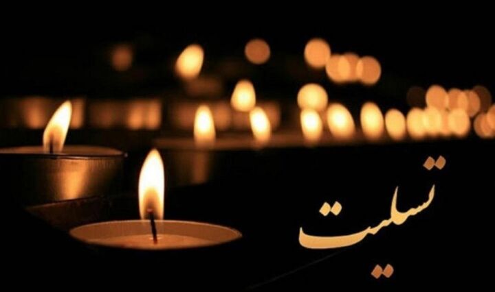 پیام تسلیت وزیر فرهنگ به علی مطهری