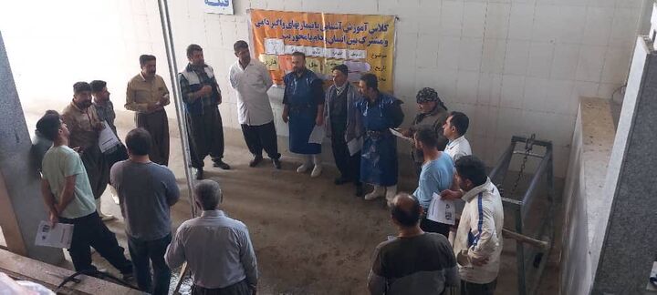 کارگاه آموزشی پیشگیری از تب کریمه کنگو در کشتارگاه دام سقز برگزار شد
